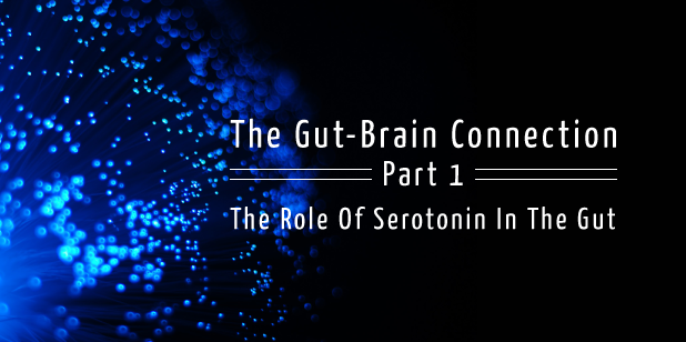 The gut brain connection